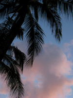 Oahu